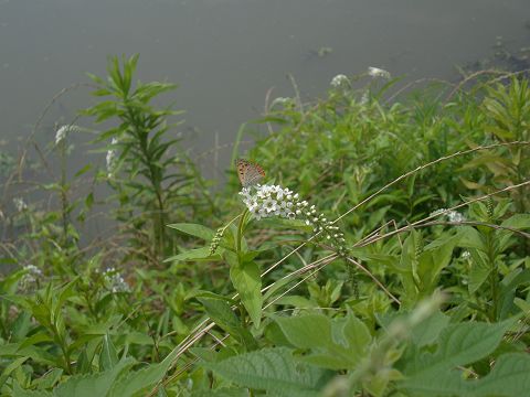 c0079001_16195840.jpg