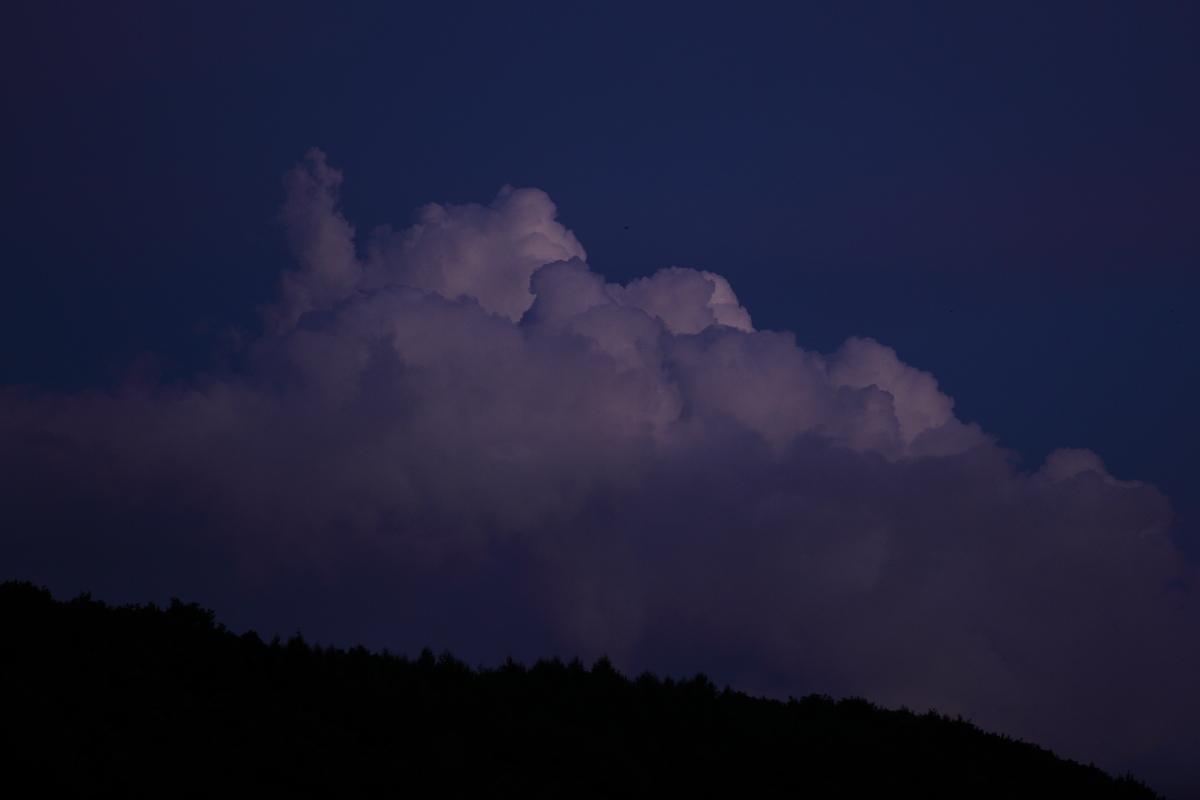 a0155104_2026951.jpg