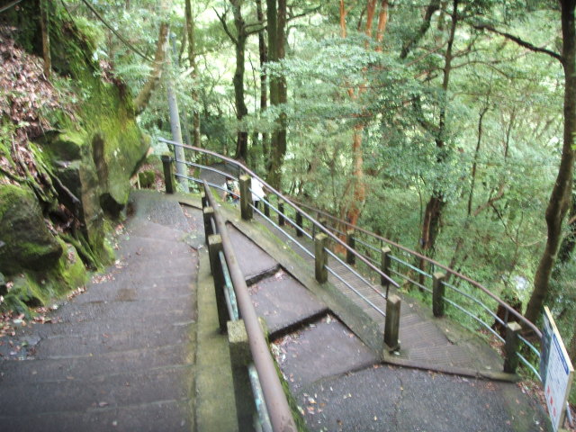a0116205_21343815.jpg