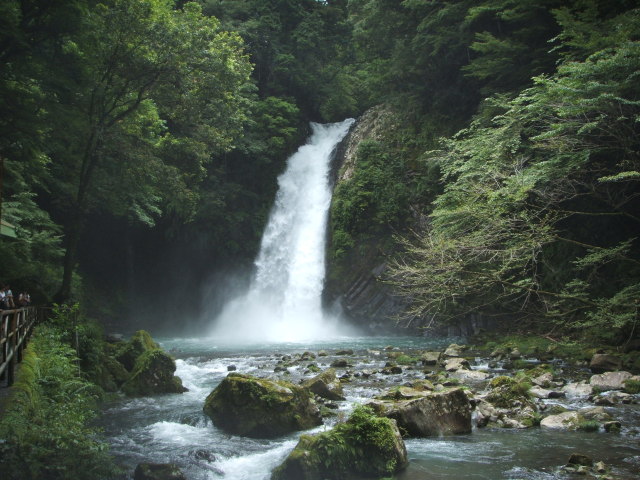 a0116205_21351911.jpg