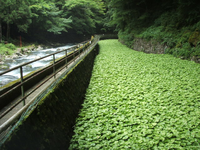 a0116205_2135369.jpg
