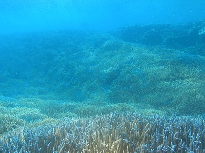 a0125705_2110728.jpg