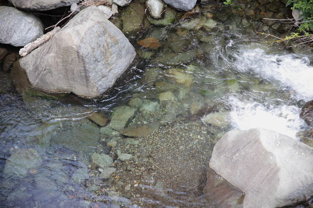 c0082109_20201493.jpg