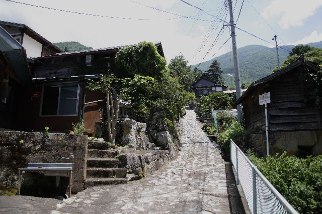c0082109_2021845.jpg