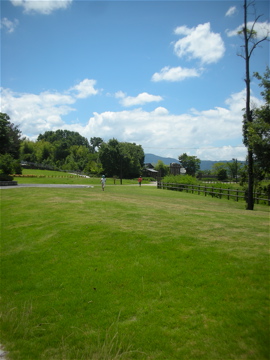 c0145209_1342193.jpg