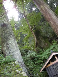 b0183911_016061.jpg
