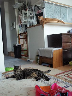 c0145016_1448162.jpg