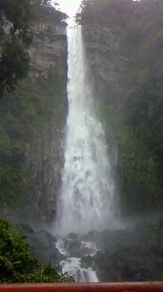 f0126417_23564898.jpg