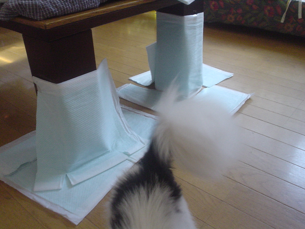 c0150520_0184769.jpg