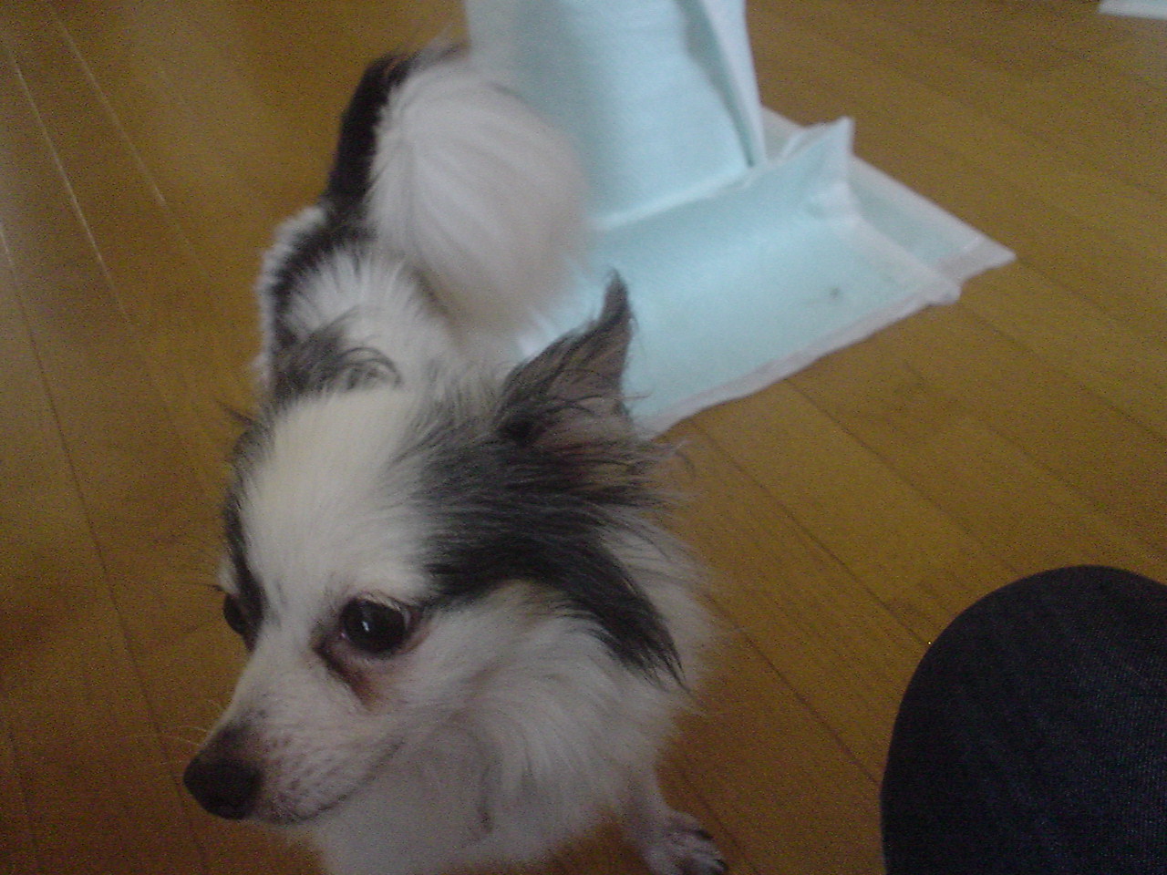 c0150520_0225487.jpg