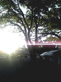 f0031420_733579.jpg