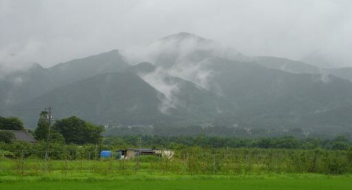 f0000521_7122299.jpg