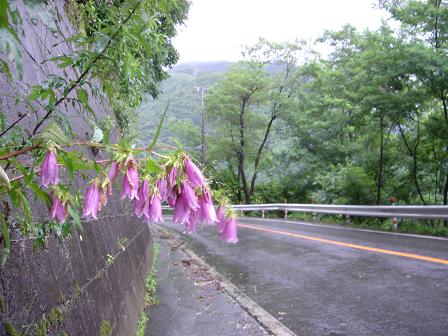 f0000521_7223036.jpg