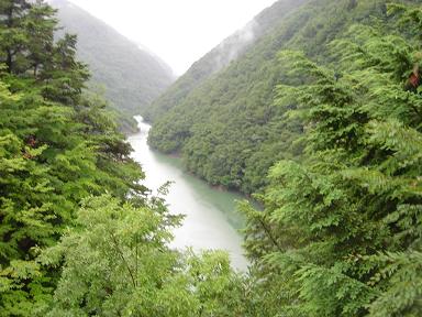 f0000521_731537.jpg
