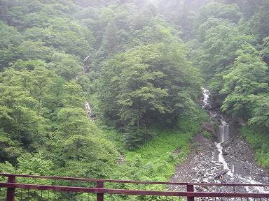 f0000521_821983.jpg