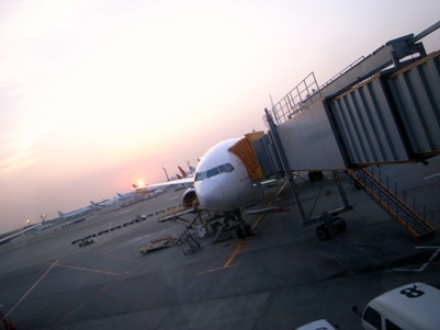 d0098022_1949158.jpg