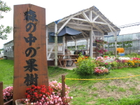 b0147224_211885.jpg