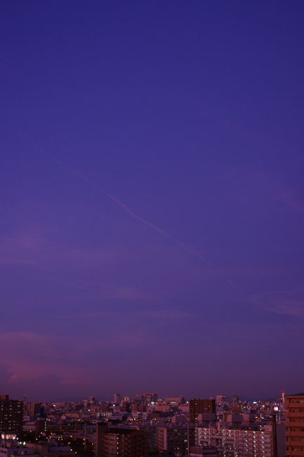 a0145825_22483683.jpg
