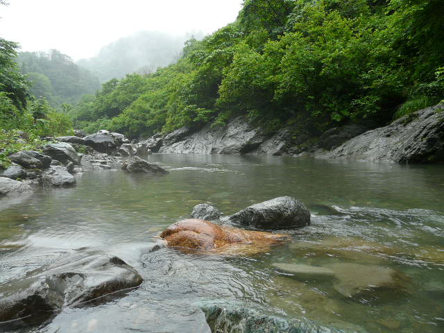 e0147226_23202397.jpg