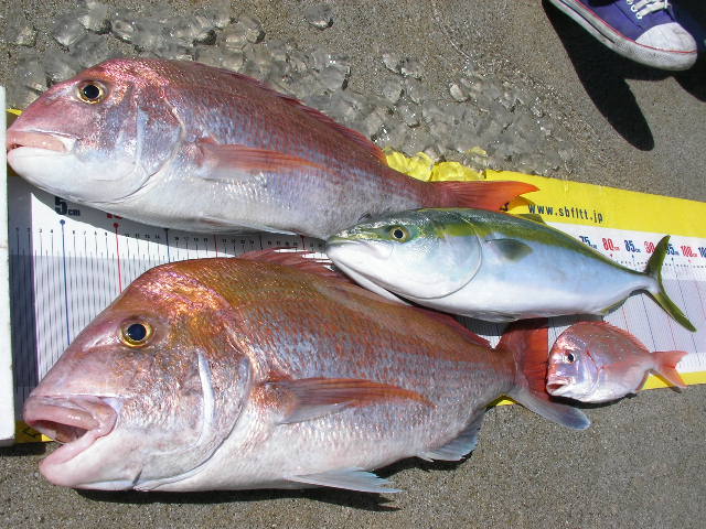 a0132631_23255098.jpg