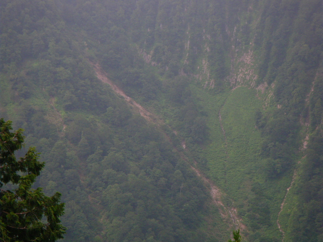 a0119132_1745939.jpg