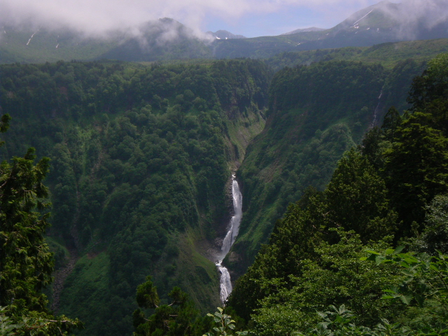 a0119132_1771448.jpg