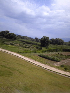 f0118332_9504090.jpg