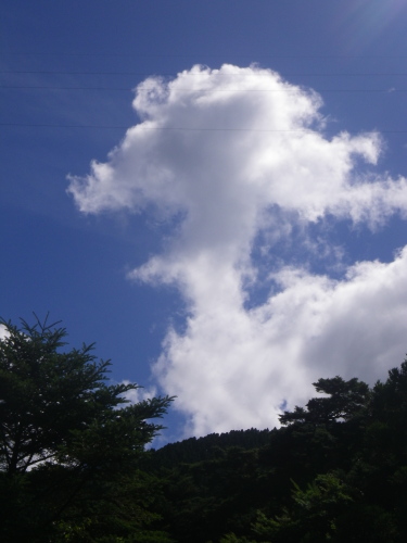 a0156834_0161997.jpg