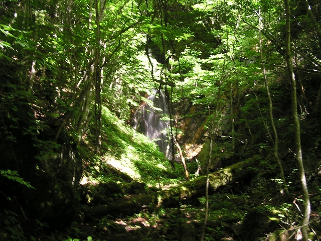 b0099538_20411122.jpg