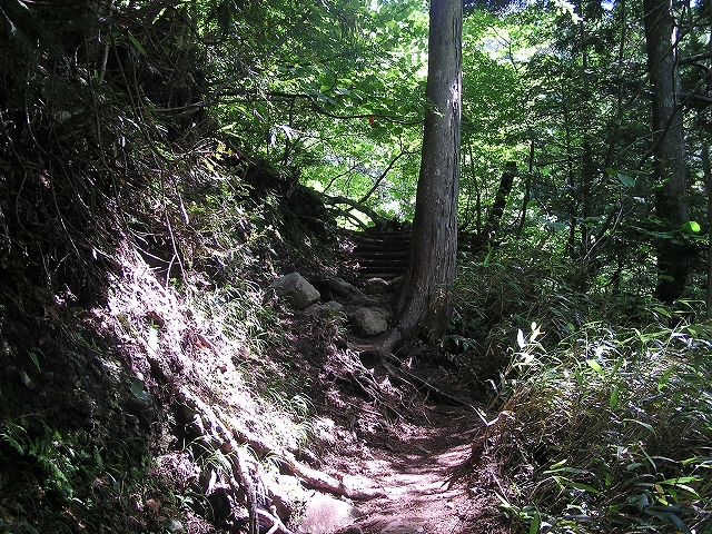 b0099538_20413680.jpg