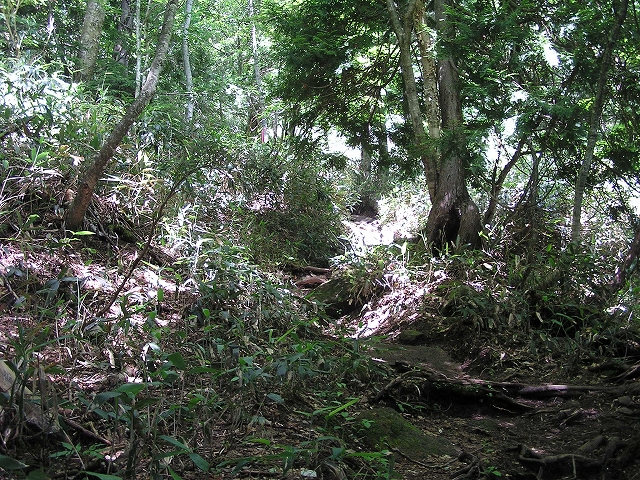 b0099538_2042783.jpg