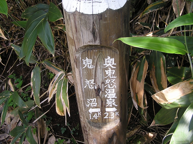 b0099538_20444899.jpg