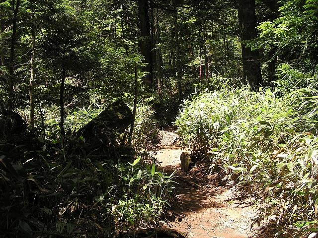 b0099538_20445629.jpg