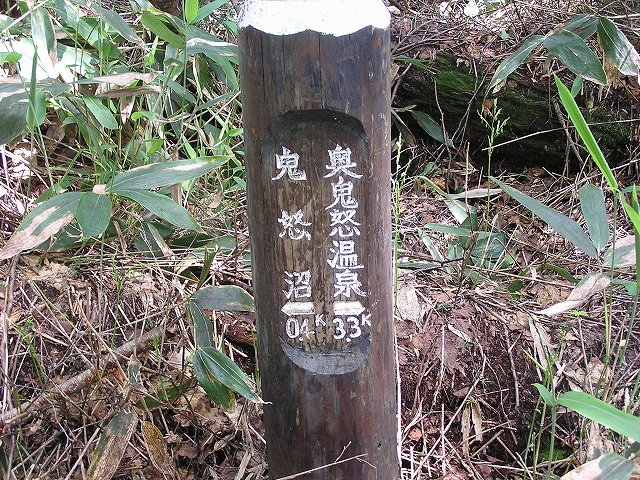 b0099538_20452313.jpg