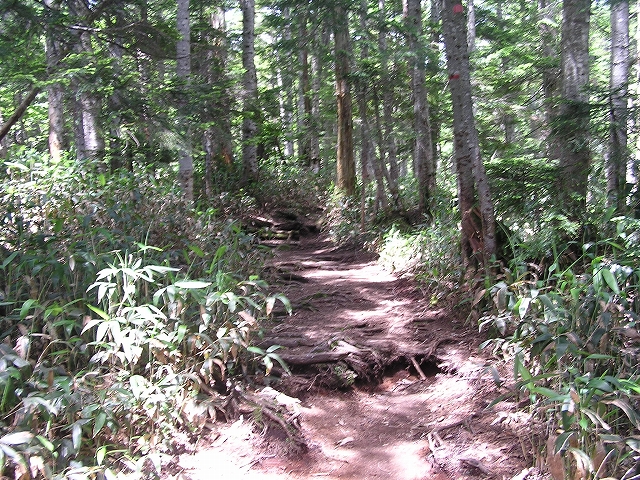 b0099538_204532100.jpg
