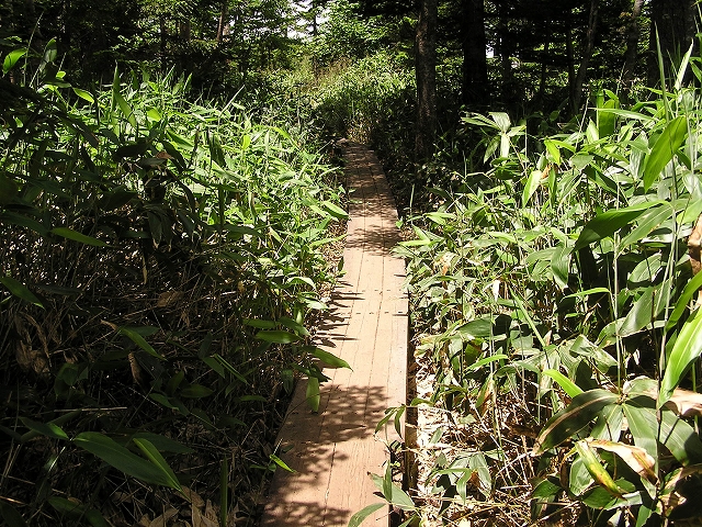 b0099538_20454089.jpg