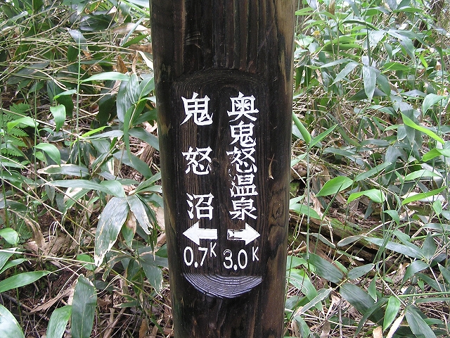 b0099538_2045477.jpg