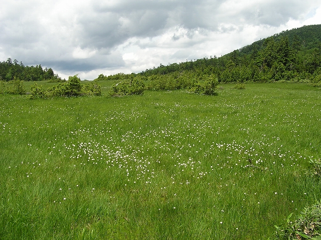 b0099538_204556100.jpg