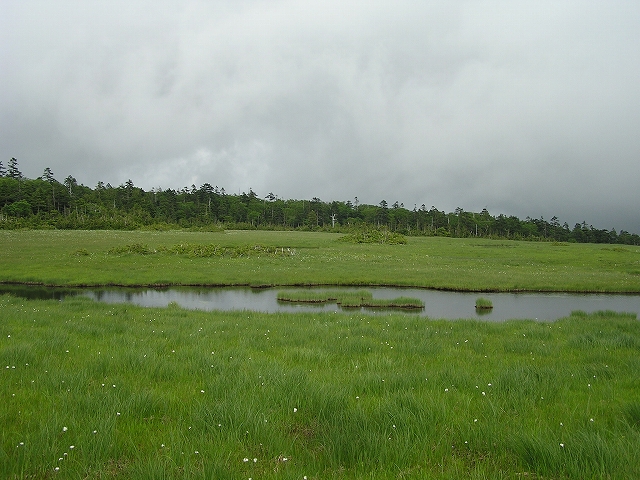 b0099538_20502271.jpg