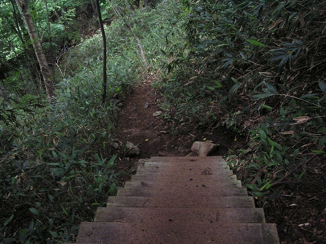 b0099538_20503158.jpg