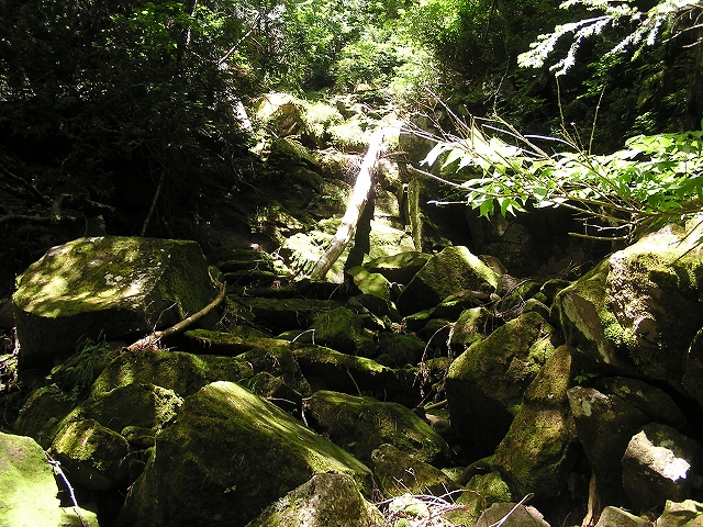 b0099538_20521951.jpg
