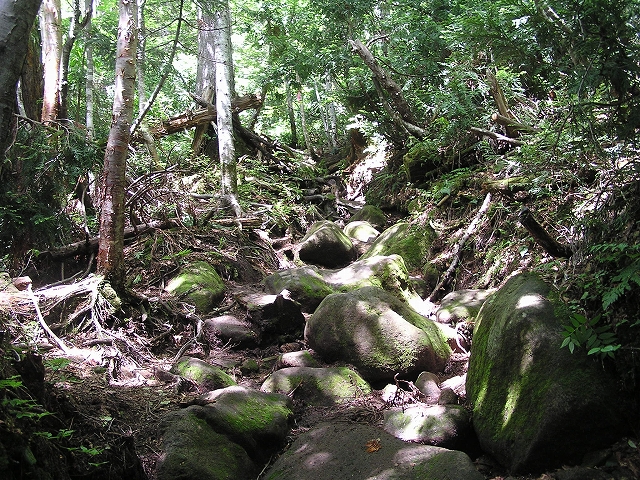 b0099538_2052304.jpg