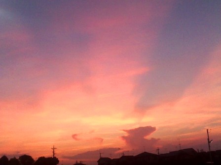 c0101739_202007.jpg