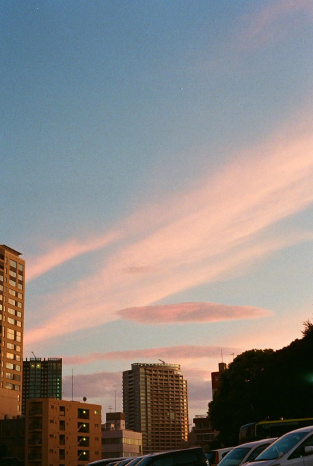 d0141239_073643.jpg