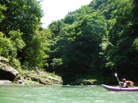 d0163339_15162522.jpg