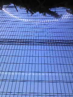 e0156339_20385330.jpg
