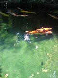 f0214139_10215649.jpg