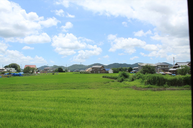 d0157240_1131960.jpg