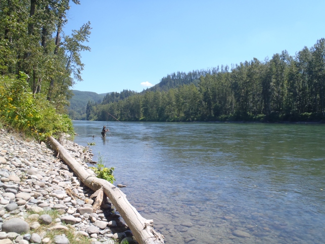 f0084544_10382039.jpg