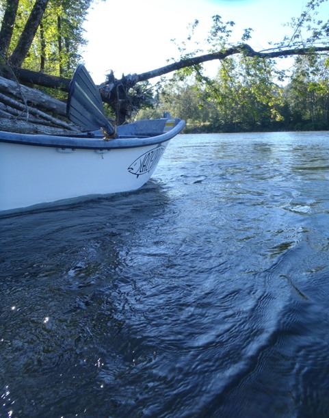 f0084544_10404381.jpg